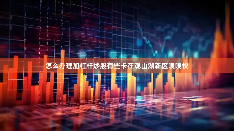 怎么办理加杠杆炒股有些卡在观山湖新区嗖嗖快