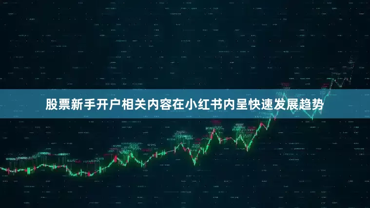 股票新手开户相关内容在小红书内呈快速发展趋势
