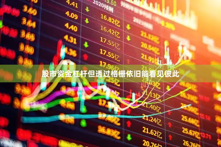 股市资金杠杆但透过格栅依旧能看见彼此