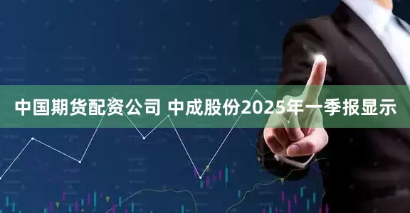 中国期货配资公司 中成股份2025年一季报显示
