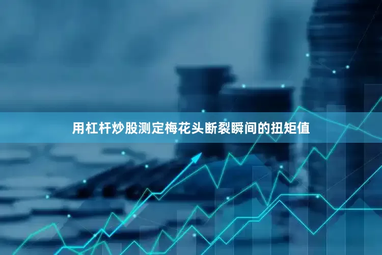 用杠杆炒股测定梅花头断裂瞬间的扭矩值