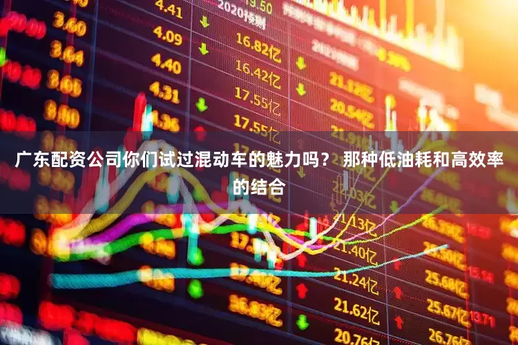 广东配资公司你们试过混动车的魅力吗？ 那种低油耗和高效率的结合